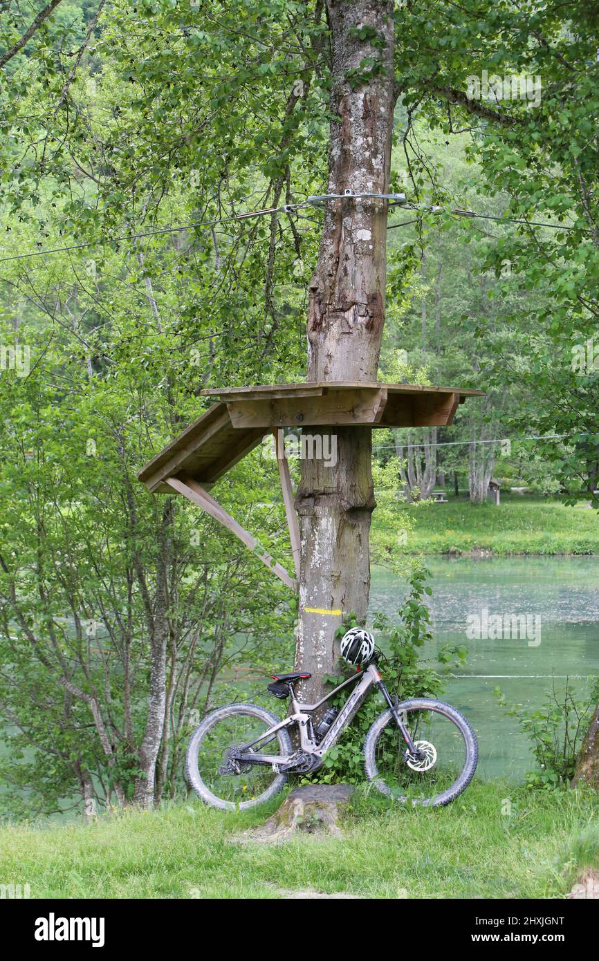 Vélo au pied d'un arbre. Parc de Loisirs du Pontet. Les Contamines-Montjoie. Alta Savoia. Auvergne-Rhône-Alpes. Francia. Foto Stock