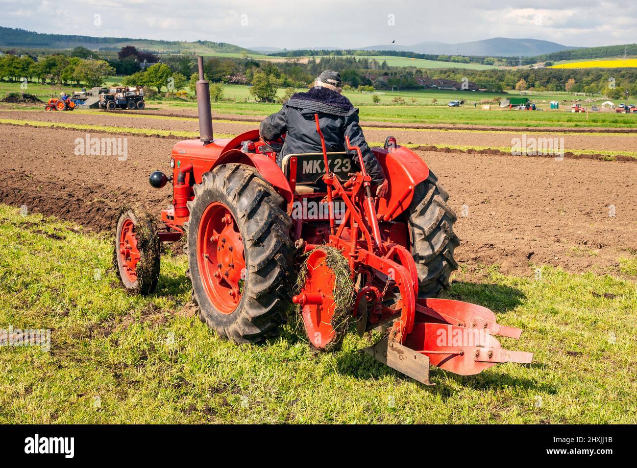 1949 40s Forties David Brown Nuffield Cripmaster aratura in Scozia rurale Regno Unito; Nuffield 465 4/65 British Leyland trattore aratura campo. Vintage Farm Working Machinery nelle Highlands scozzesi. Foto Stock
