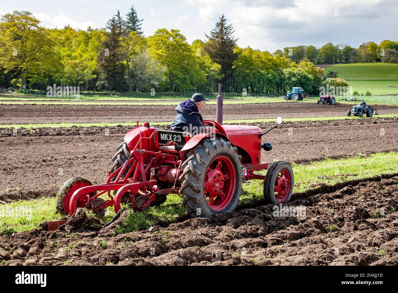 1949 40s Forties David Brown Nuffield Cripmaster aratura in Scozia rurale Regno Unito; Nuffield 465 4/65 British Leyland trattore aratura campo. Vintage Farm Working Machinery nelle Highlands scozzesi. Foto Stock