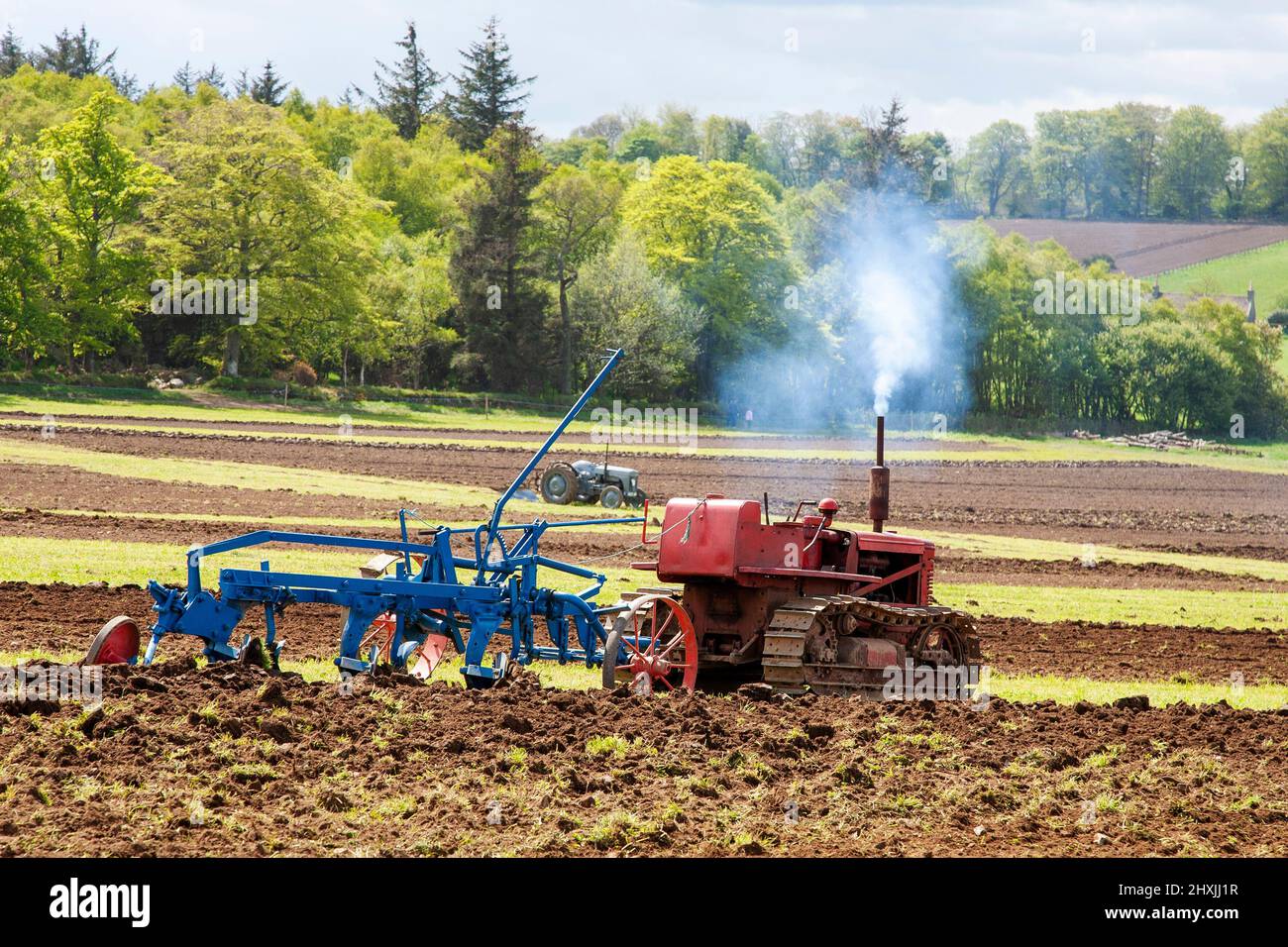 1949 40s Forties David Brown Nuffield Cripmaster aratura in Scozia rurale Regno Unito; Nuffield 465 4/65 British Leyland trattore aratura campo. Vintage Farm Working Machinery nelle Highlands scozzesi. Foto Stock