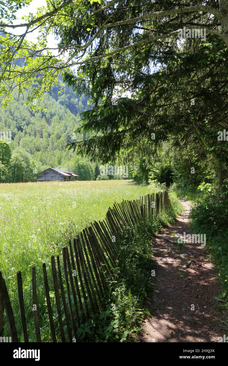 Chemin de randonnée. Les Contamines-Montjoie. Alta Savoia. Auvergne-Rhône-Alpes. Francia. Foto Stock
