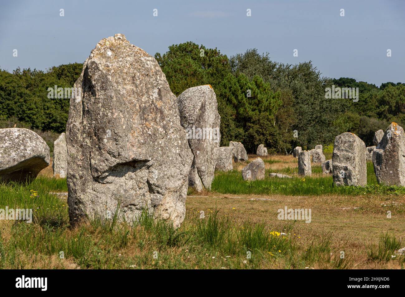 Stones standing, Kerzerho, Erdeven, Morbihan, Francia, Europa Foto Stock