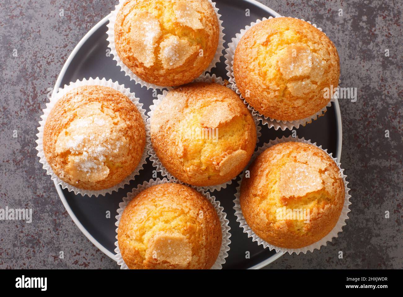 magdalenas con zucchero e limone i tipici muffin spagnoli semplici nel piatto. Vista dall'alto orizzontale Foto Stock