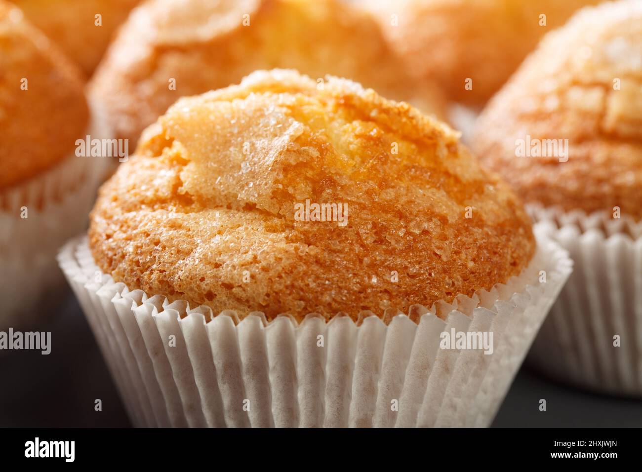 Magdalenas macro con zucchero e limone i tipici muffin lisci spagnoli nel piatto. Orizzontale Foto Stock