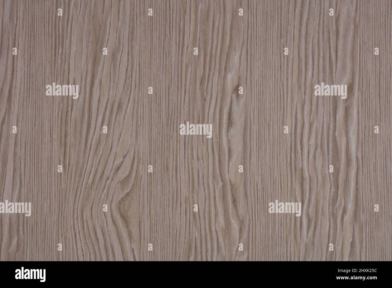 Inserti in legno di quercia Breeze, sfondo in bel colore grigio per il tuo design personale. Foto Stock