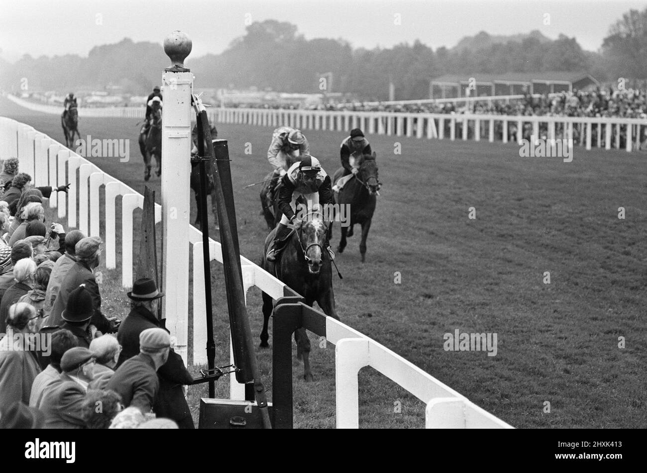 Primo giorno al Royal Ascot, martedì 14th giugno 2019. La nostra immagine mostra ... azione su ippodromo. Foto Stock