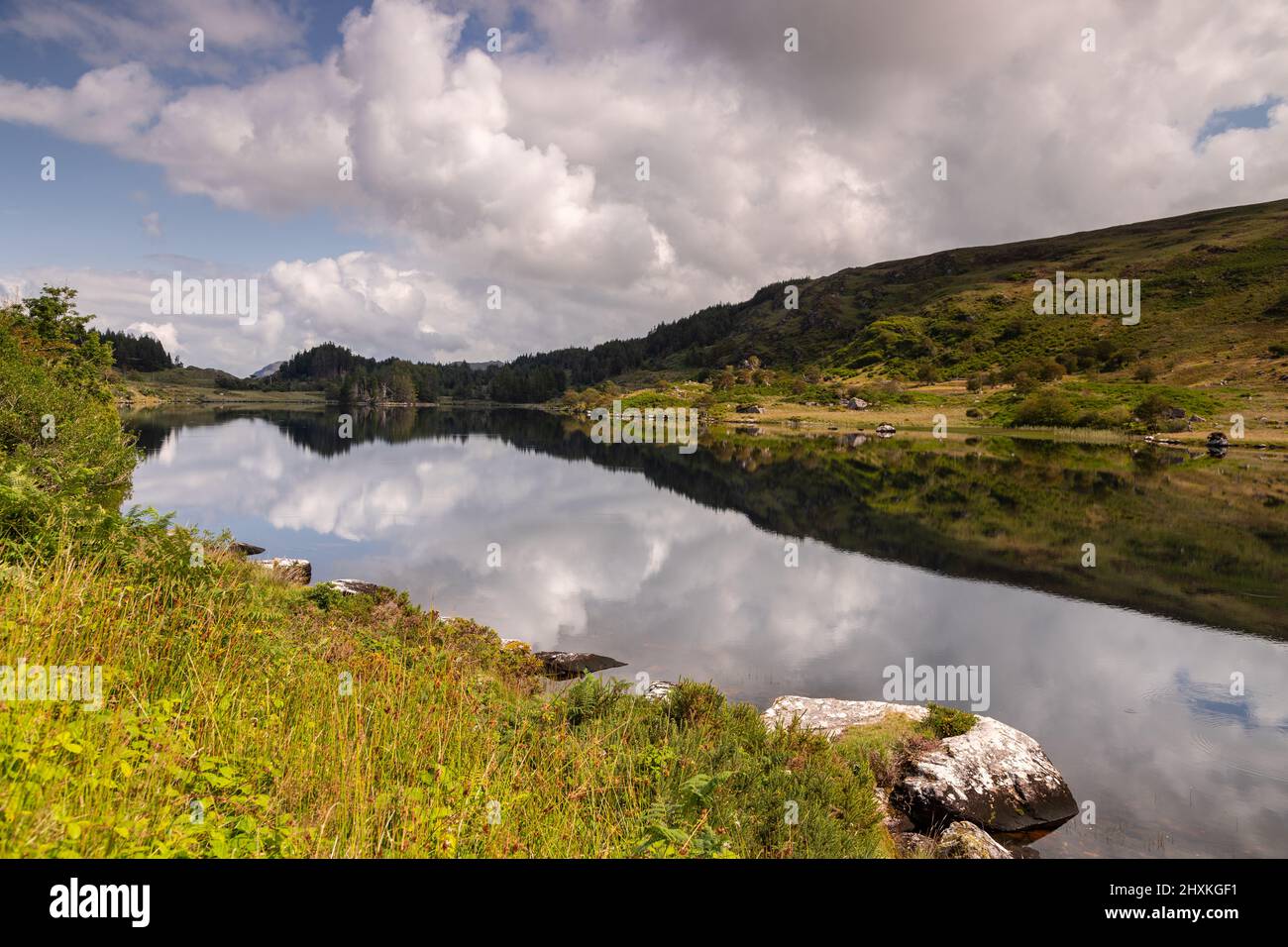 Looscaunagh Lough, Contea di Kerry, Irlanda Foto Stock