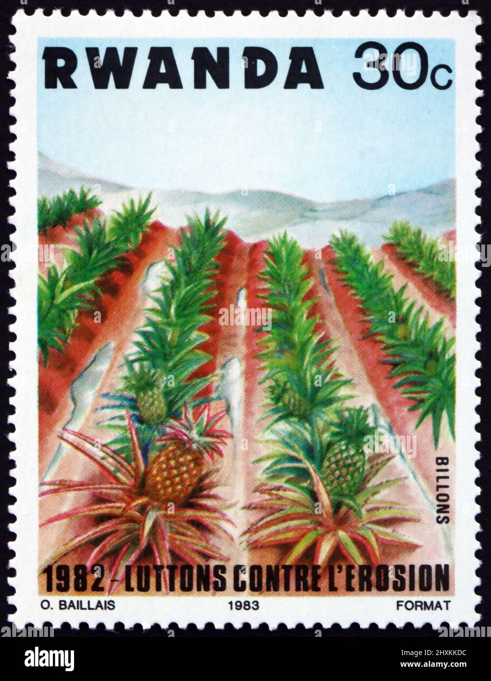 RUANDA - CIRCA 1983: Un francobollo stampato in Ruanda mostra campo di ananas, campagna contro l'erosione del suolo, circa 1983 Foto Stock