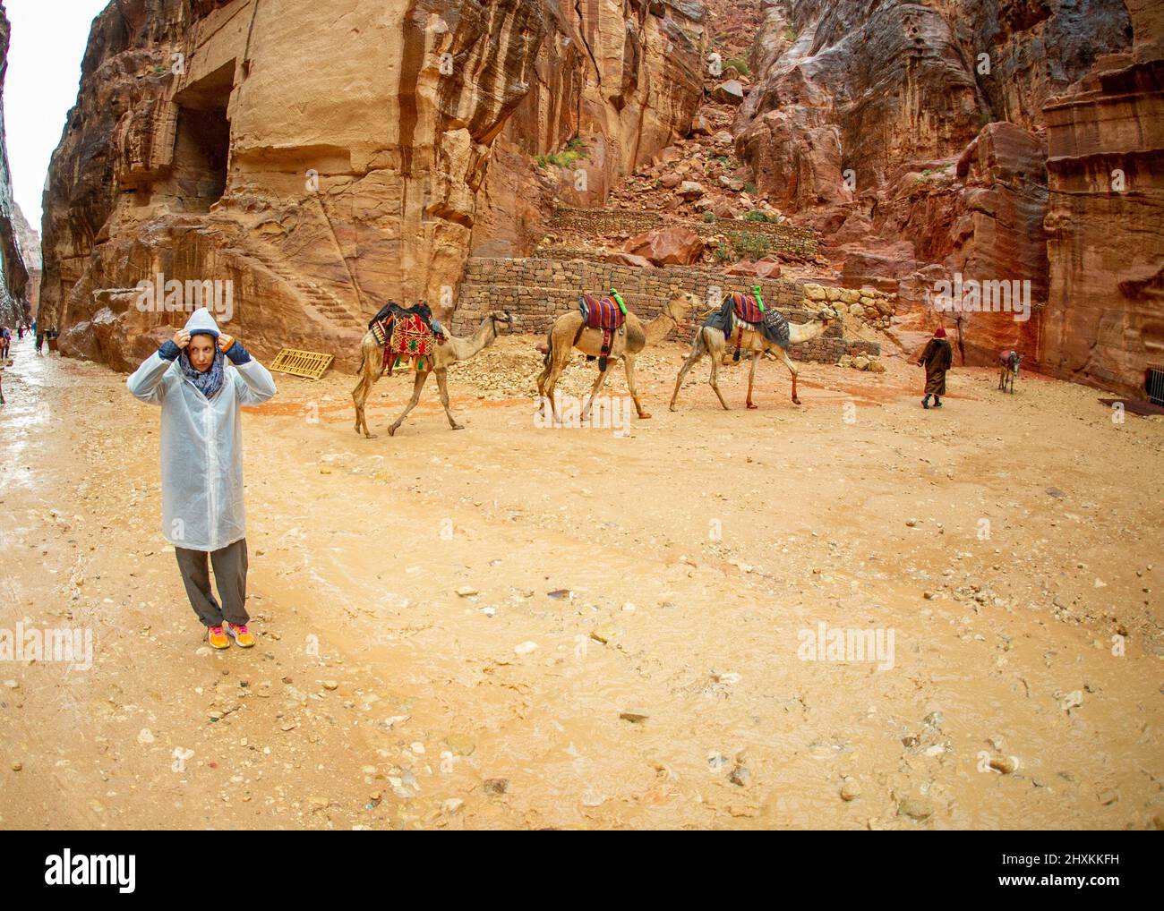 Il turista si pone in Petra Jordan Febbraio 2020 con cammelli e pioggia sullo sfondo Foto Stock