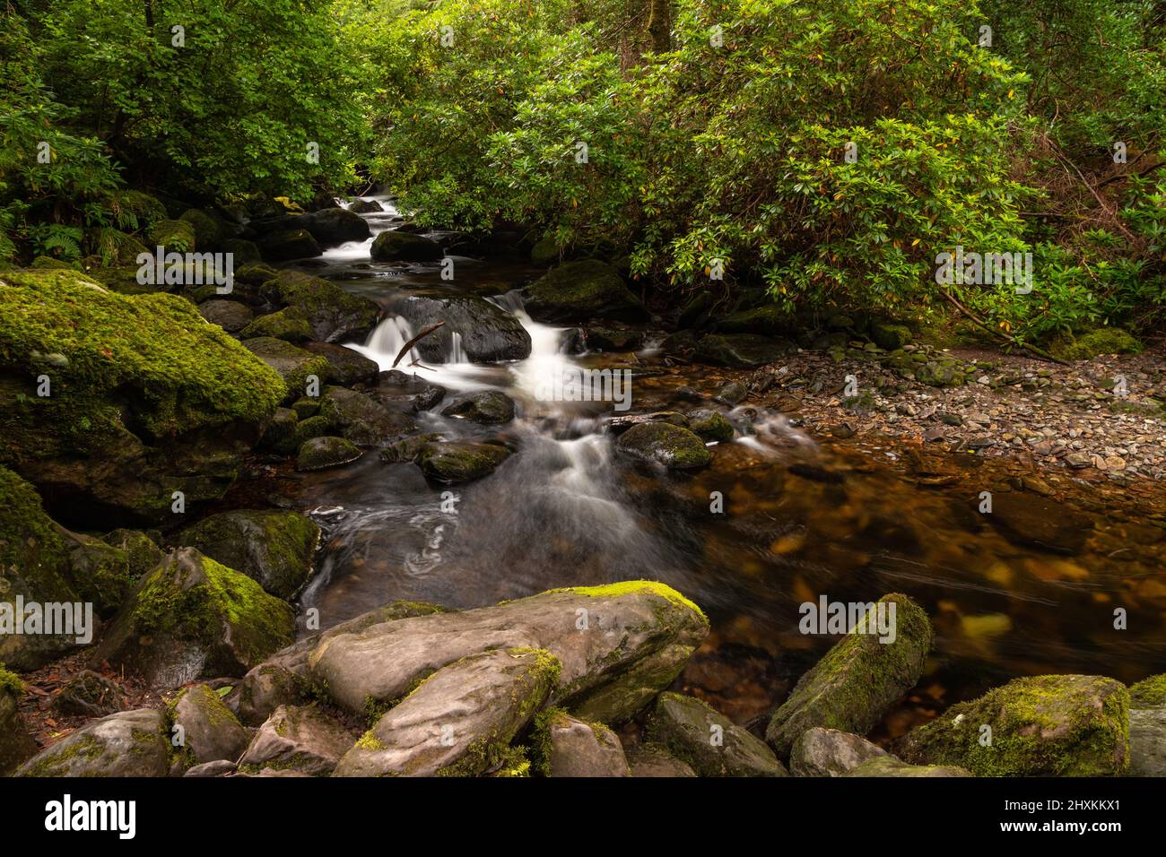 Cascata di Torc nel Killarney National Park, County Kerry, Irlanda Foto Stock