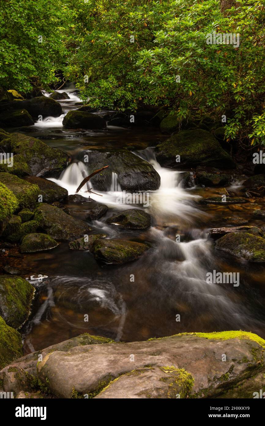 Cascata di Torc nel Killarney National Park, County Kerry, Irlanda Foto Stock