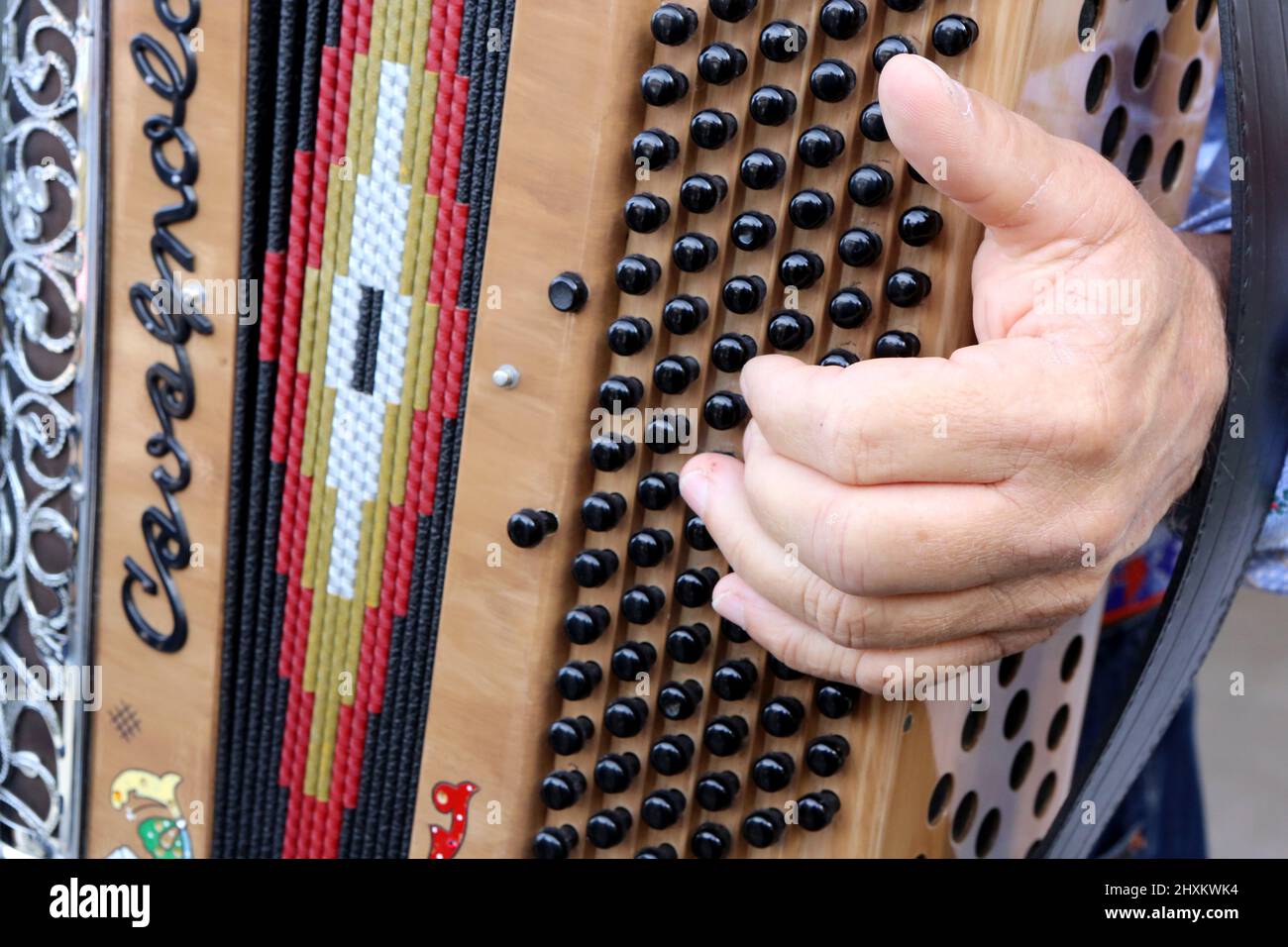 Homme jouant de l'accordéon. Saint-Gervais-les-Bains. Alta Savoia. Auvergne-Rhône-Alpes. Francia. Foto Stock