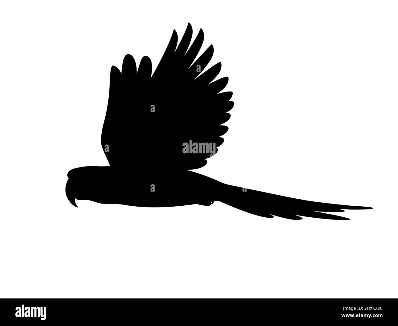 Silhouette pappagallo di macaw volante. Illustrazione vettoriale di una silhouette nera di un pappagallo di macaw volante isolato su sfondo bianco. Logo vista laterale, pro Illustrazione Vettoriale