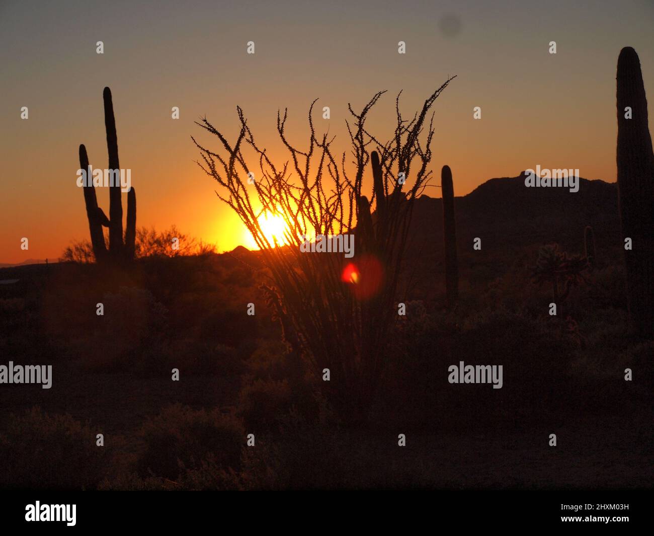 Immagini del tramonto a Superstition Mountain in Arizona e dintorni. Il sole che tramonta bagna la zona in tonalità dorate di rosso. Foto Stock