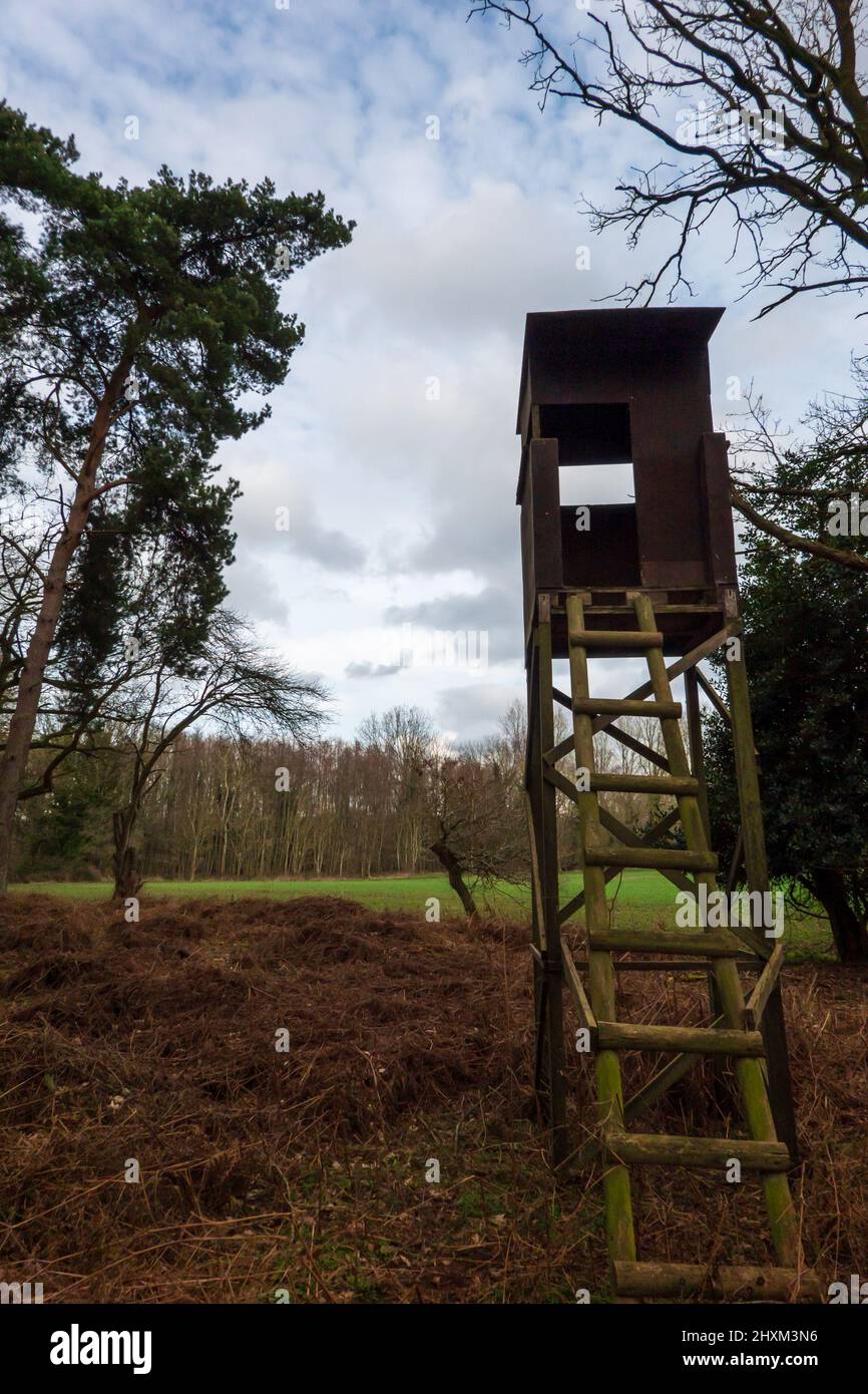 Shooting Tower, Swannington Norfolk Foto Stock