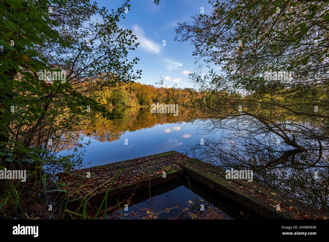 Slaugham Mill stagno durante l'autunno, Saugham, West Sussex, Inghilterra, Regno Unito. Foto Stock