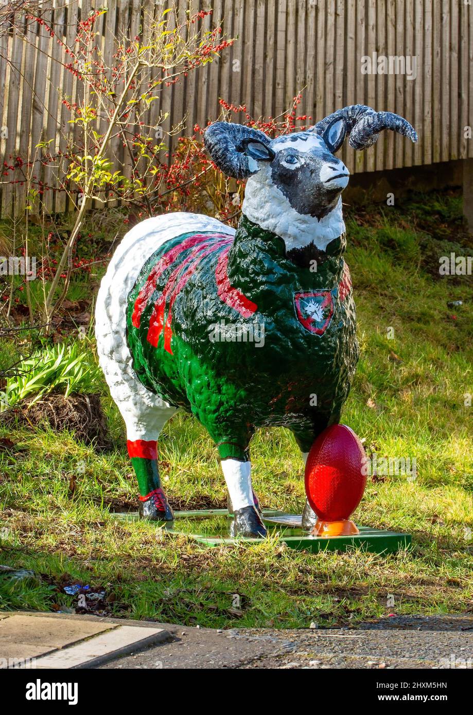 Mascot di una pecora per il Dalkeith Rugby, Football Club a Dalkeith, Scozia, Regno Unito Foto Stock