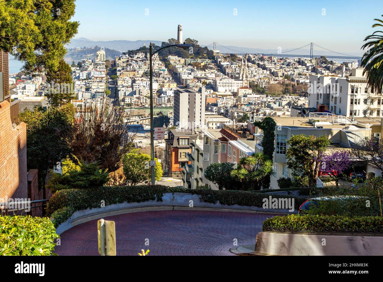 Lombard Street di San Francisco Foto Stock