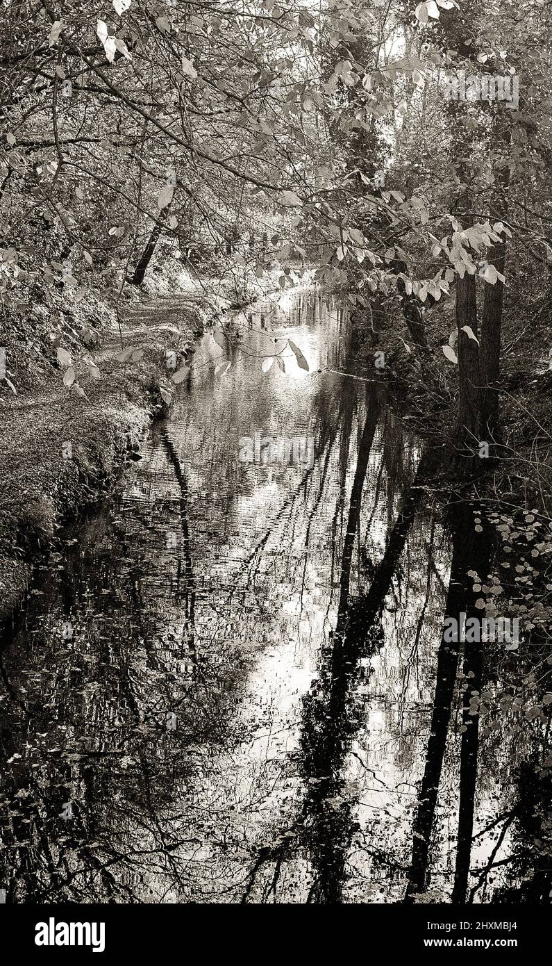 Monmouthshire e Brecon Canal a Pencoesoped, Autunno, Monmouthshire, Regno Unito Foto Stock