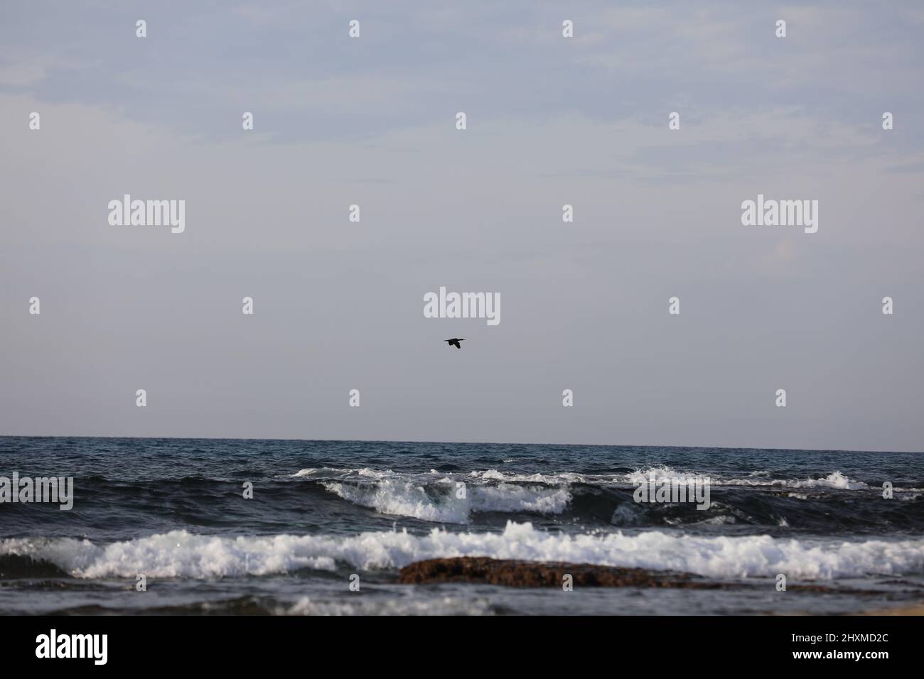 Vista lungo la costa che mostra mensole di pietra di sabbia lavica e piscine di acqua di mare. Il cielo è blu come le onde di marea si infrangono su rocce sommerse dentro Foto Stock