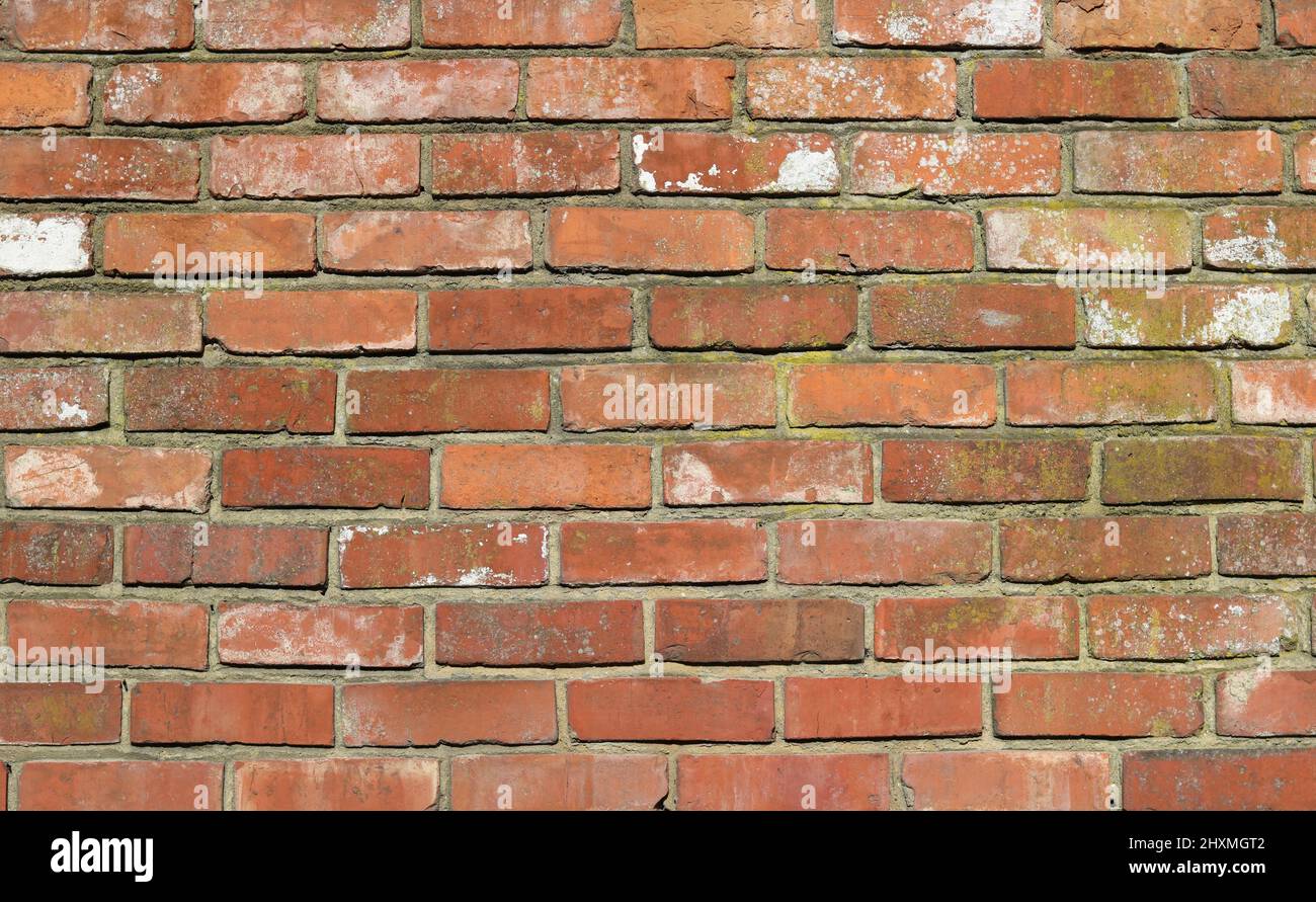 Vecchio muro di mattoni grungy con intemperie e segnati con spazio copia Foto Stock