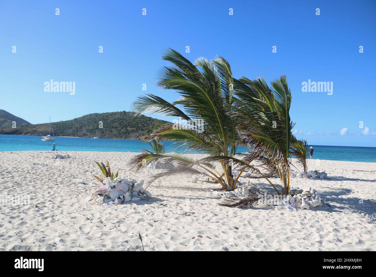 Sabbia bianca caraibica, palme cieli blu e sole Foto Stock