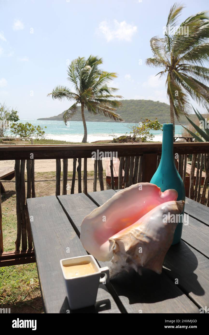 Grande conch seashell e tazza di caffè sul tavolo con due palme a vento e la spiaggia dietro di loro Foto Stock