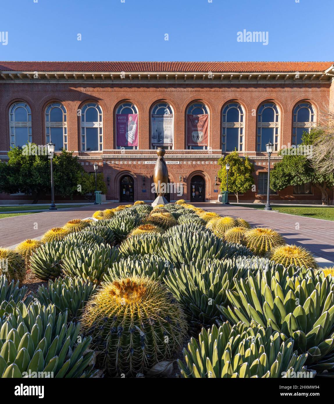 Patch di cactus di fronte al museo storico dell'Arizona Foto Stock