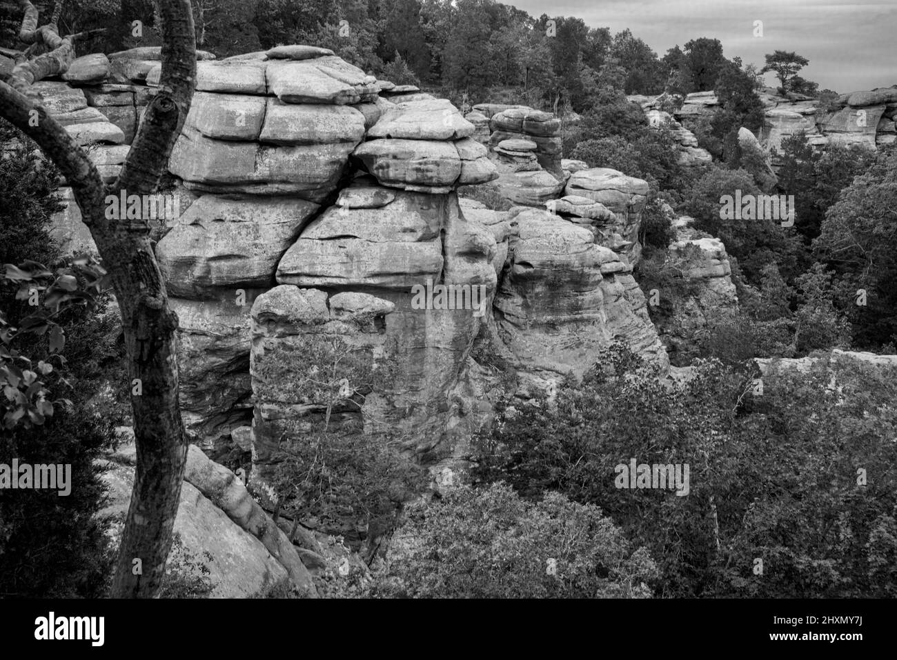 Formazioni rocciose al Garden of the Gods state Park, Illinois meridionale Foto Stock