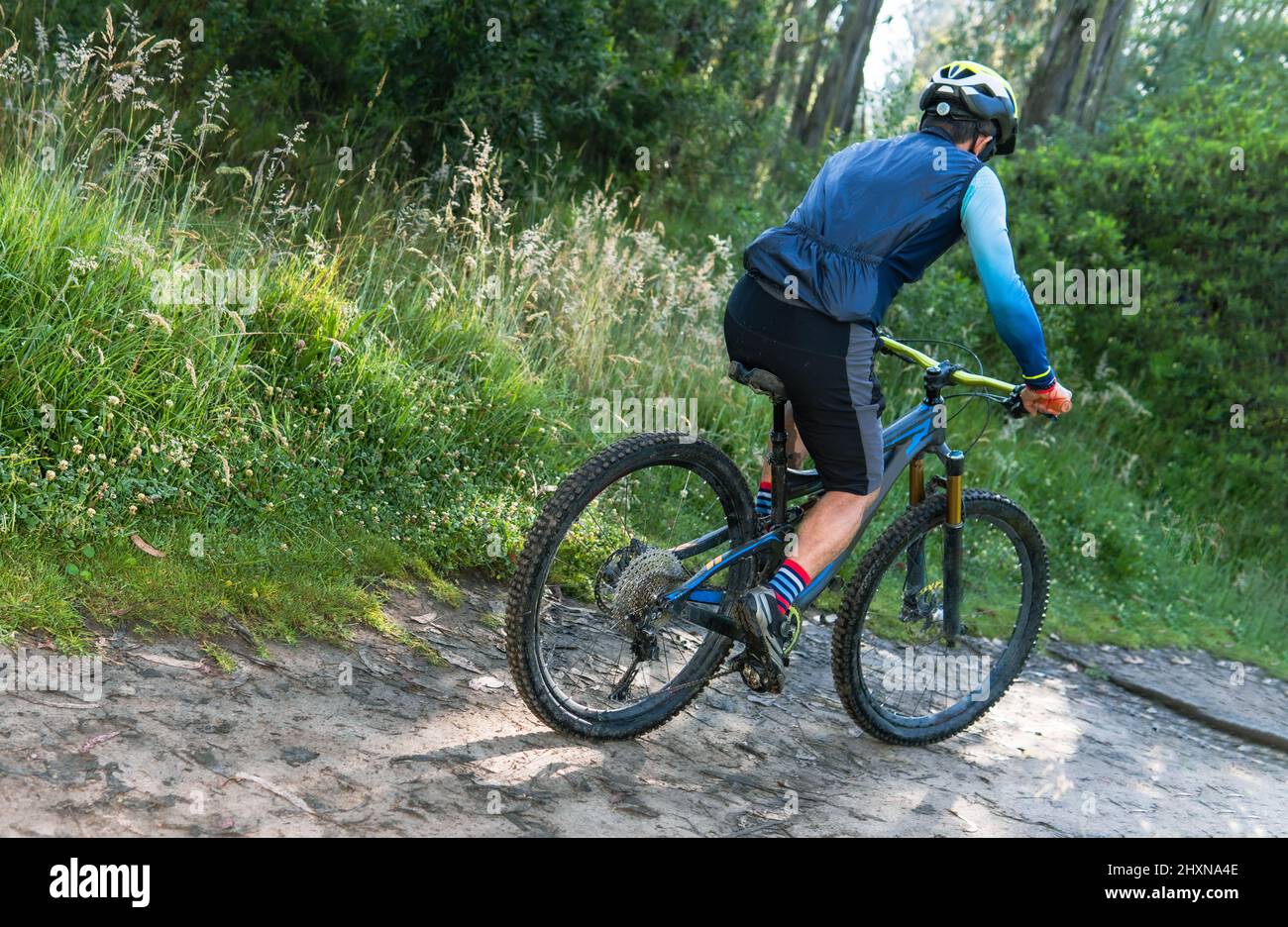 vista posteriore di un uomo in elmetto che guida una mountain bike su un sentiero forestale. Concetto di mountain bike e sport all'aperto. Foto Stock