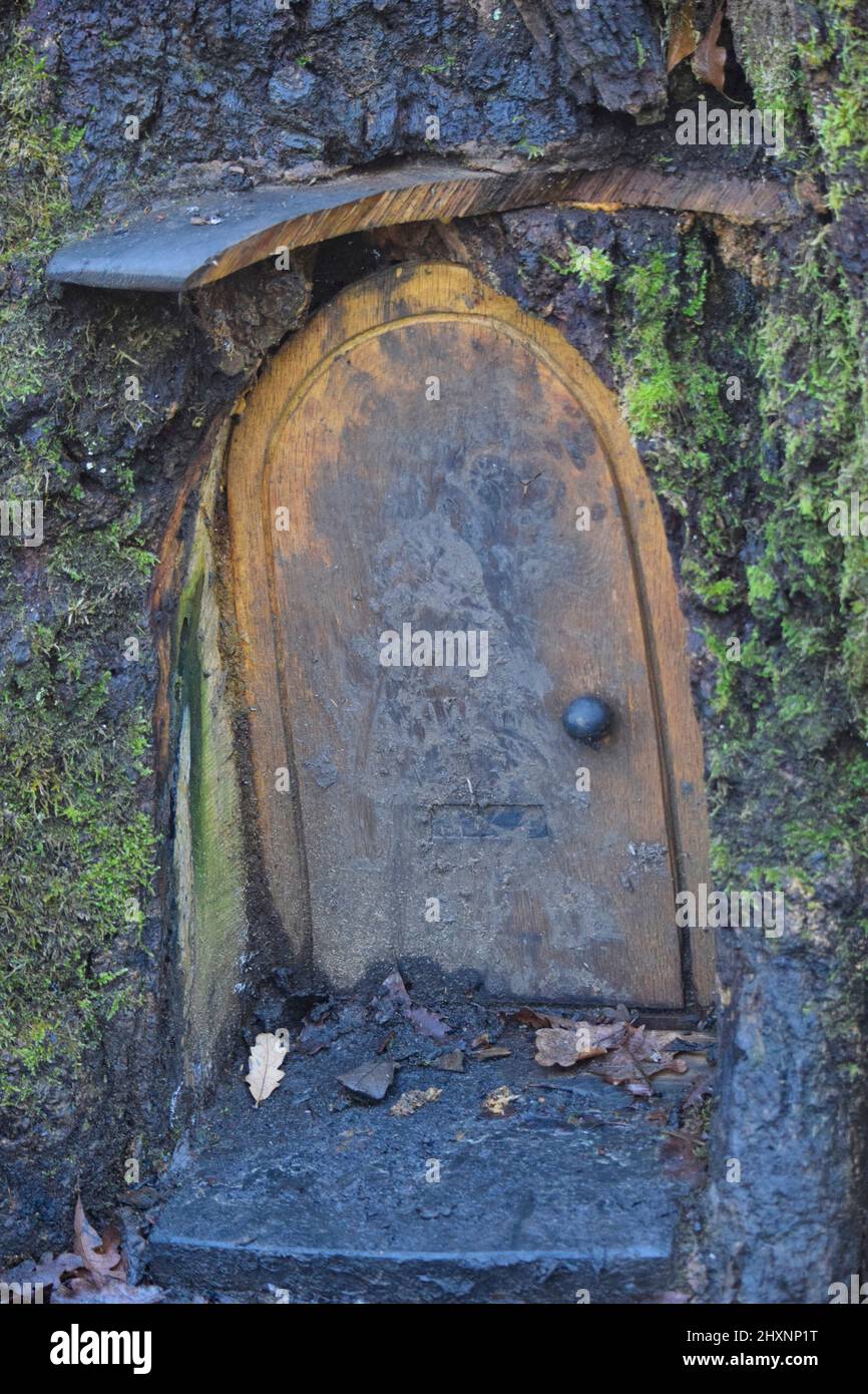 piccola porta scolpita in tronco di albero, Foto Stock