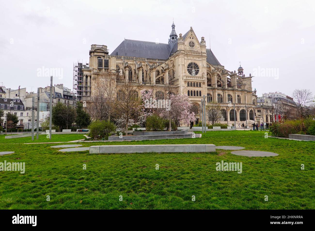 Alberi fioriti di fronte a Saint-Eustache, segnalando la fine dell'inverno nei giardini Nelson Mandela, Parigi, Francia. Foto Stock
