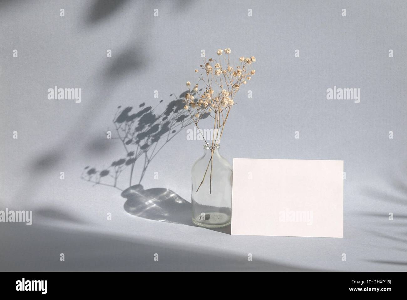 Biglietto d'auguri vuoto accanto a fiori di alito del bambino asciugati in un vaso con ombra. Modello minimalista per matrimoni ed eventi. Foto Stock