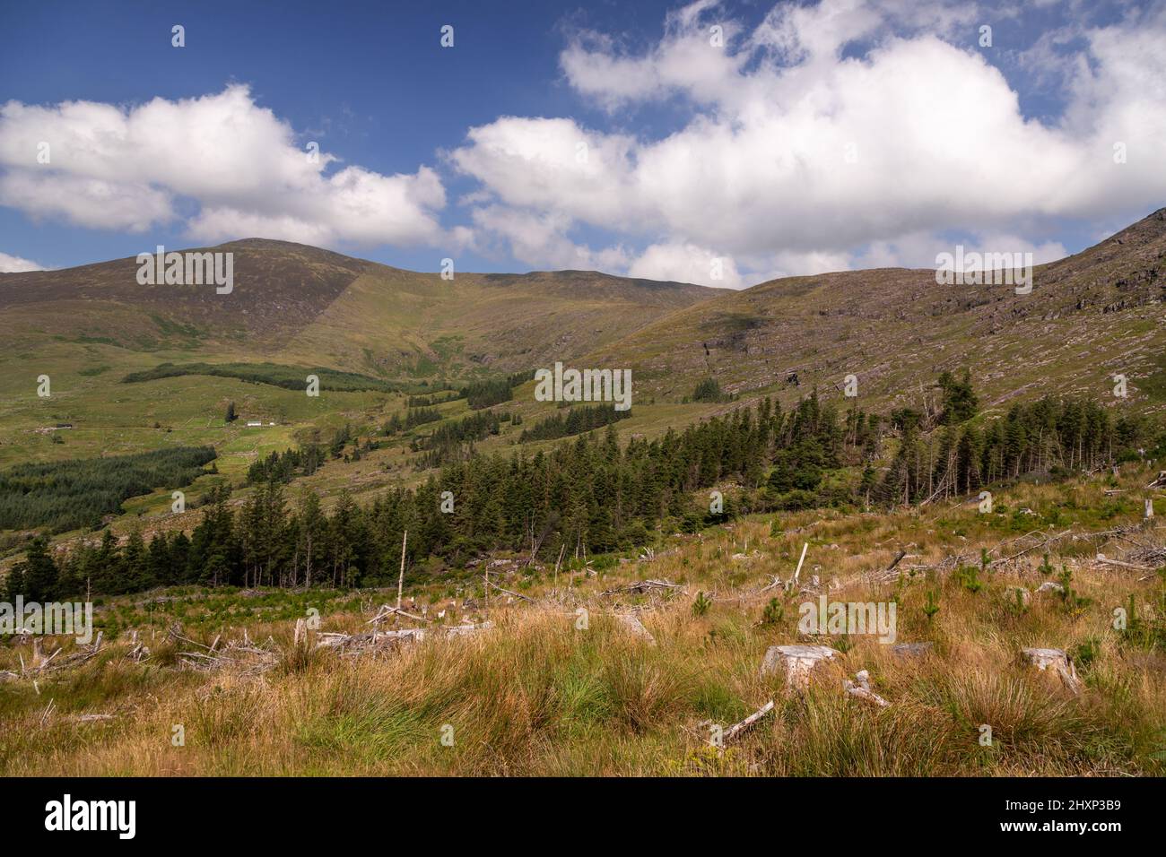Ballaghasheen Pass, County Kerry, Irlanda Foto Stock