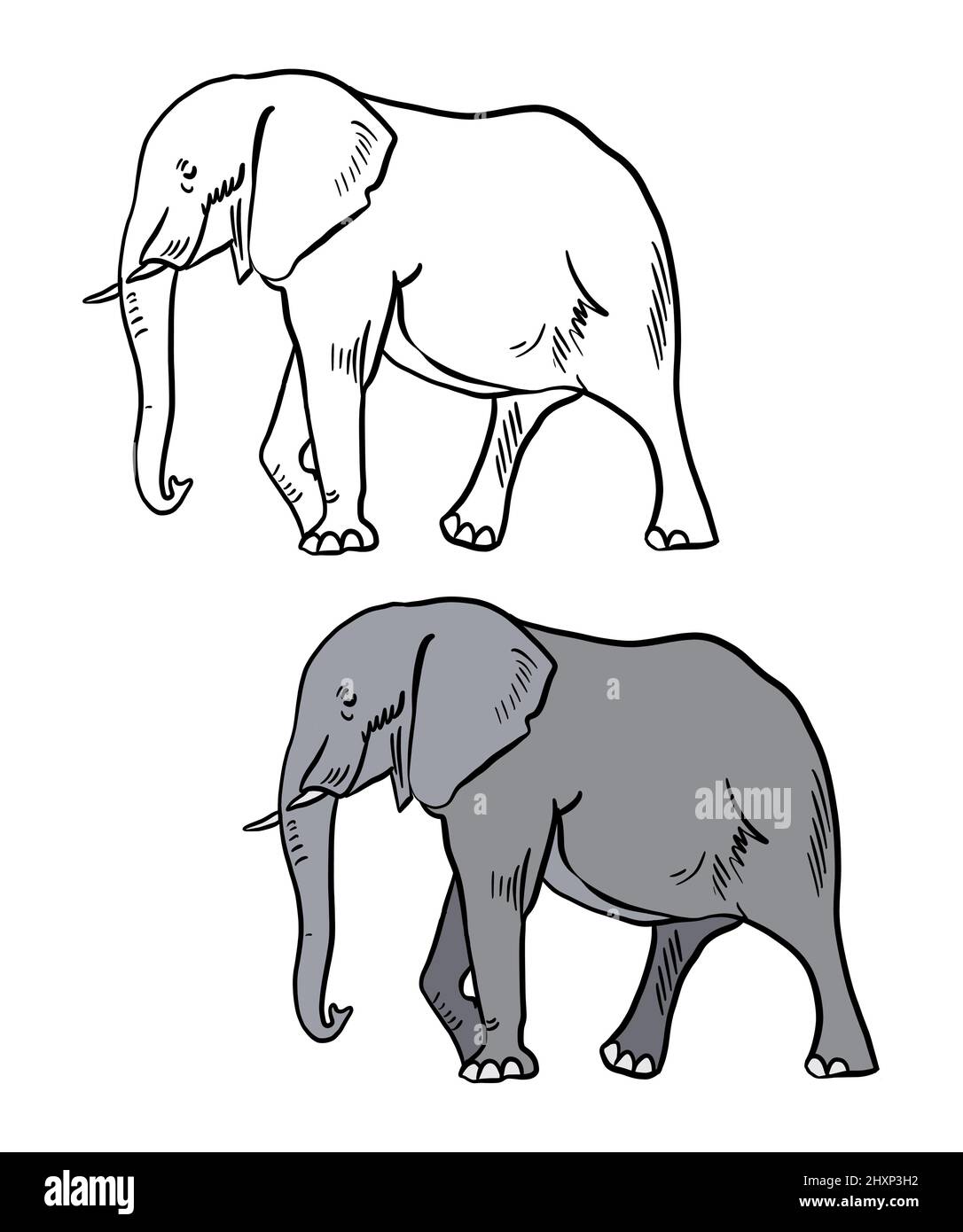 Illustrazione di un libro da colorare a colori e in bianco e nero. Disegno di un elefante su uno sfondo bianco isolato. Illustrazione di alta qualità Foto Stock