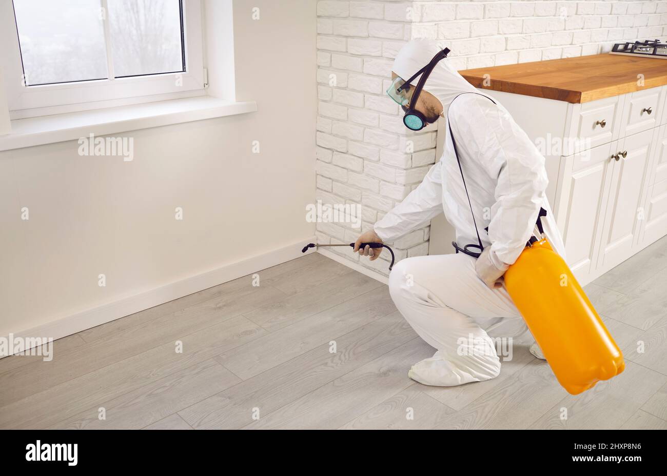 Pest controllo exterminator spruzzare termite o insetticida scarafaggio in casa Foto Stock