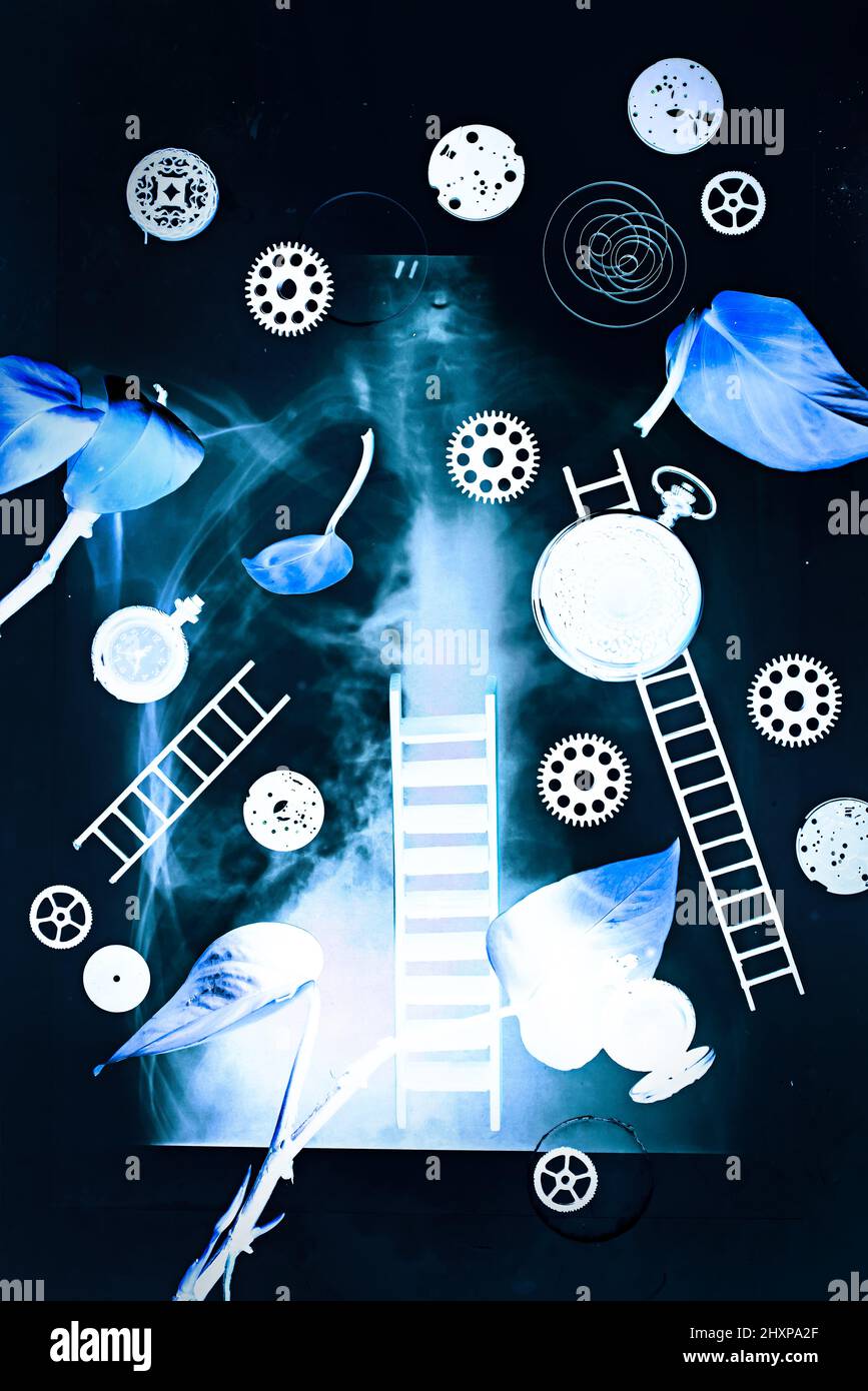 Concetto di radiografia creativa con colonna vertebrale e ingranaggi, anima umana piatta laica Foto Stock