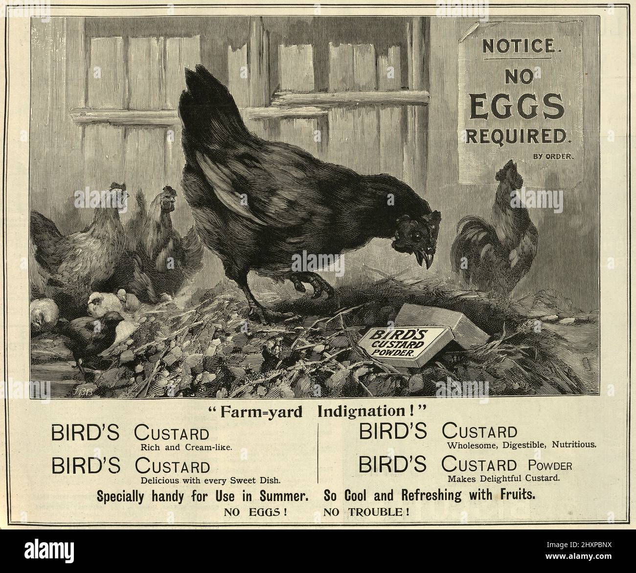 Annuncio del giornale vittoriano per la polvere di crema di Bird;s, 1895, 19th secolo Foto Stock