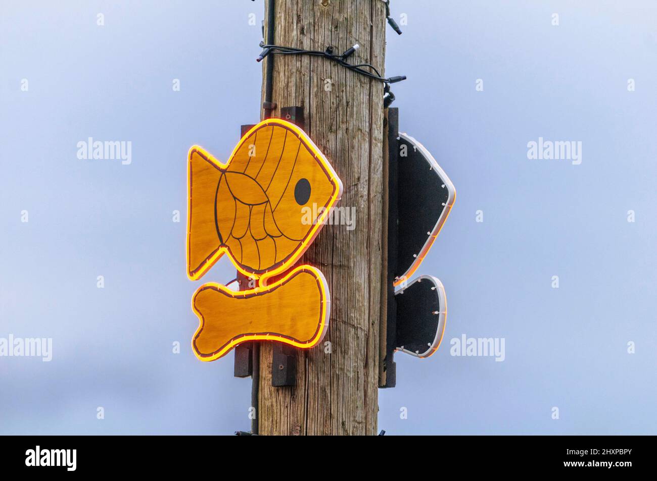Cartello per negozio di fiches e pesci elettrici al neon. Foto Stock