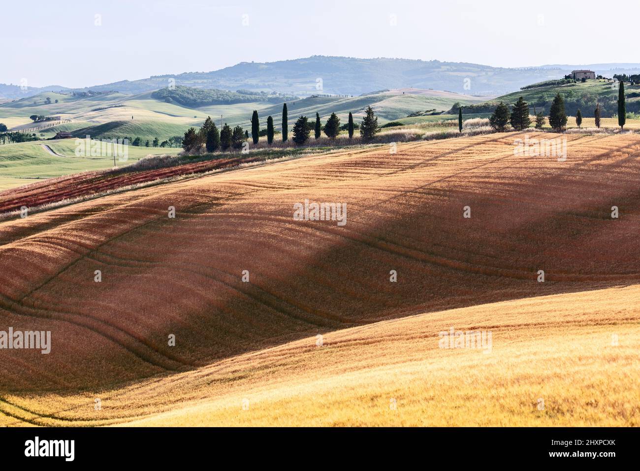 Campi in Toscana e un casale solistico su una collina vicina l'orizzonte è coperto da una leggera foschia estiva di mezzogiorno Foto Stock