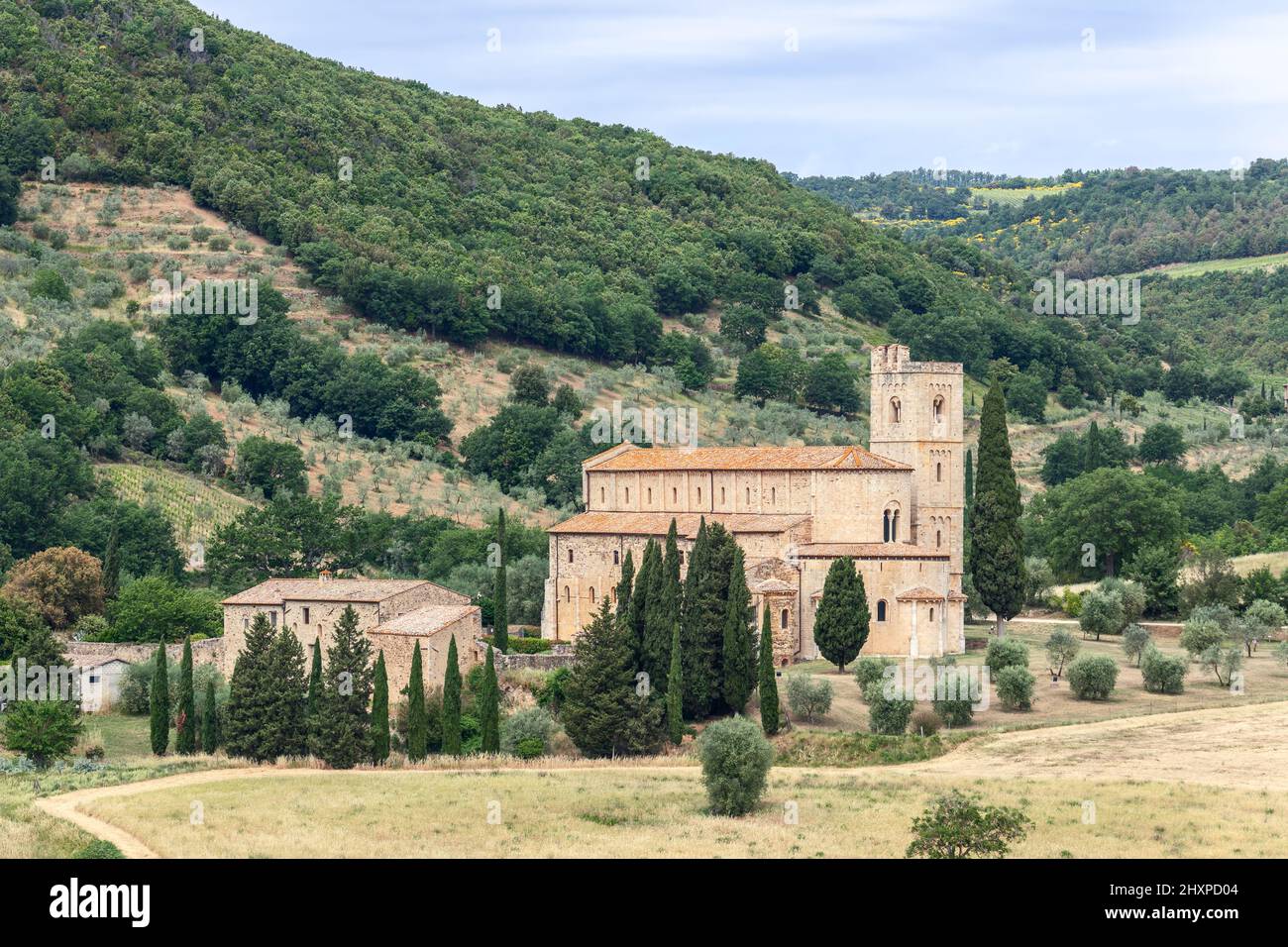 Abbazia di Sant'Antimo circondata da cipressi e ulivi. Castelnuovo dell'Abate, Toscana, Italia Foto Stock