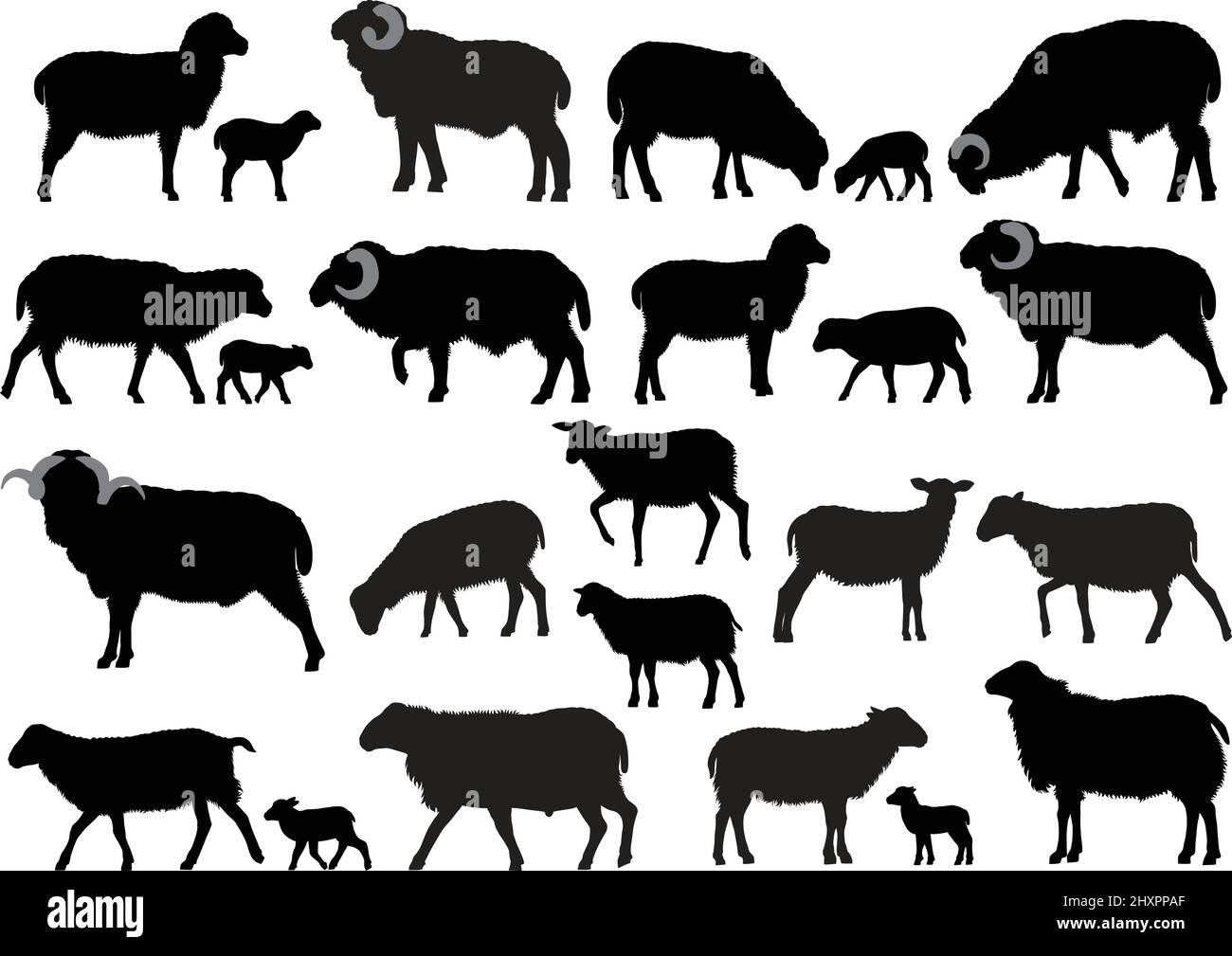 Collezione di sagome di pecore, arieti e agnelli Illustrazione Vettoriale