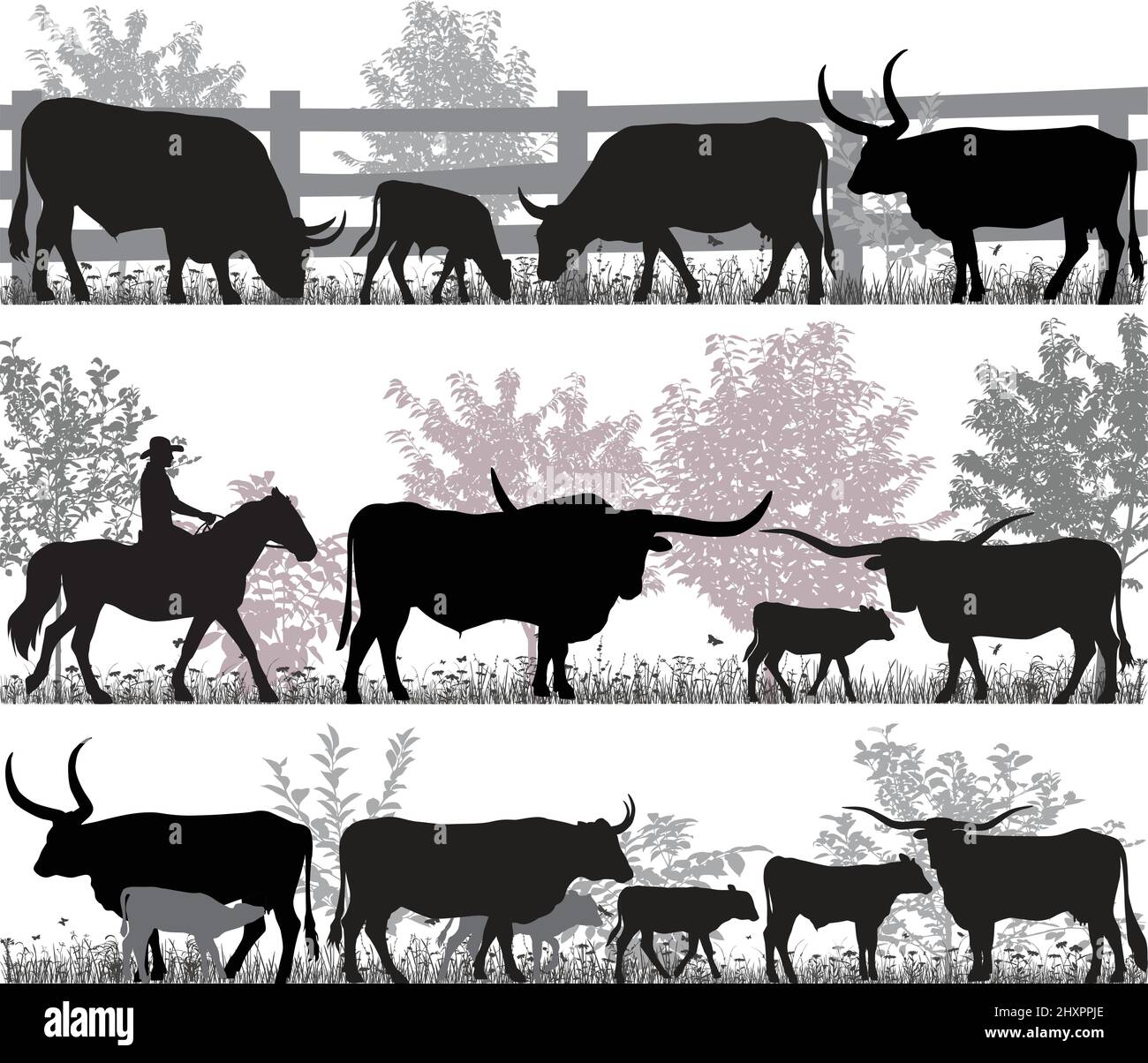 Sagome di razza bovina del texas longhorn Illustrazione Vettoriale