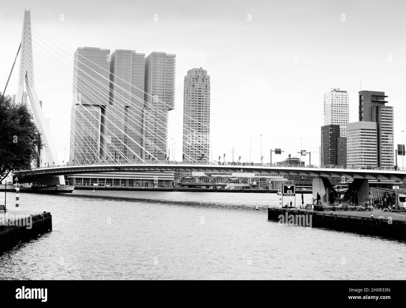 Rotterdam con l'incredibile ponte Erasmus Foto Stock