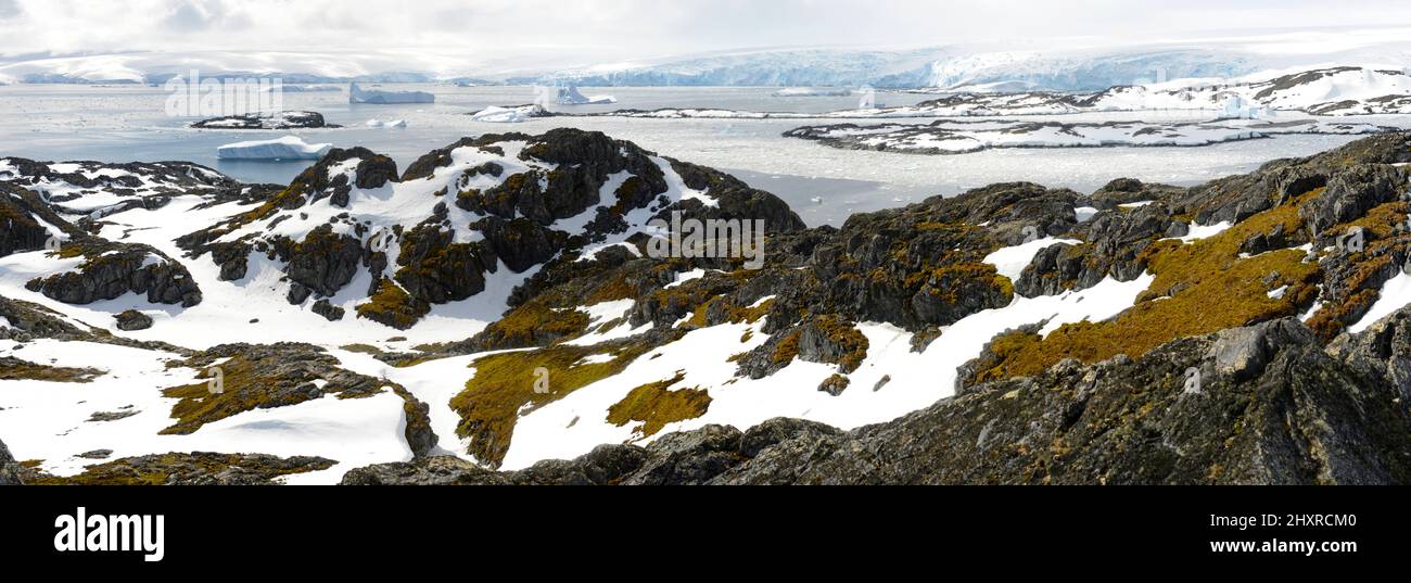 Ampie mosche e licheni coprono l'area protetta di Litchfield Island a Arthur Harbour, vicino alla stazione Palmer, Antartide Foto Stock