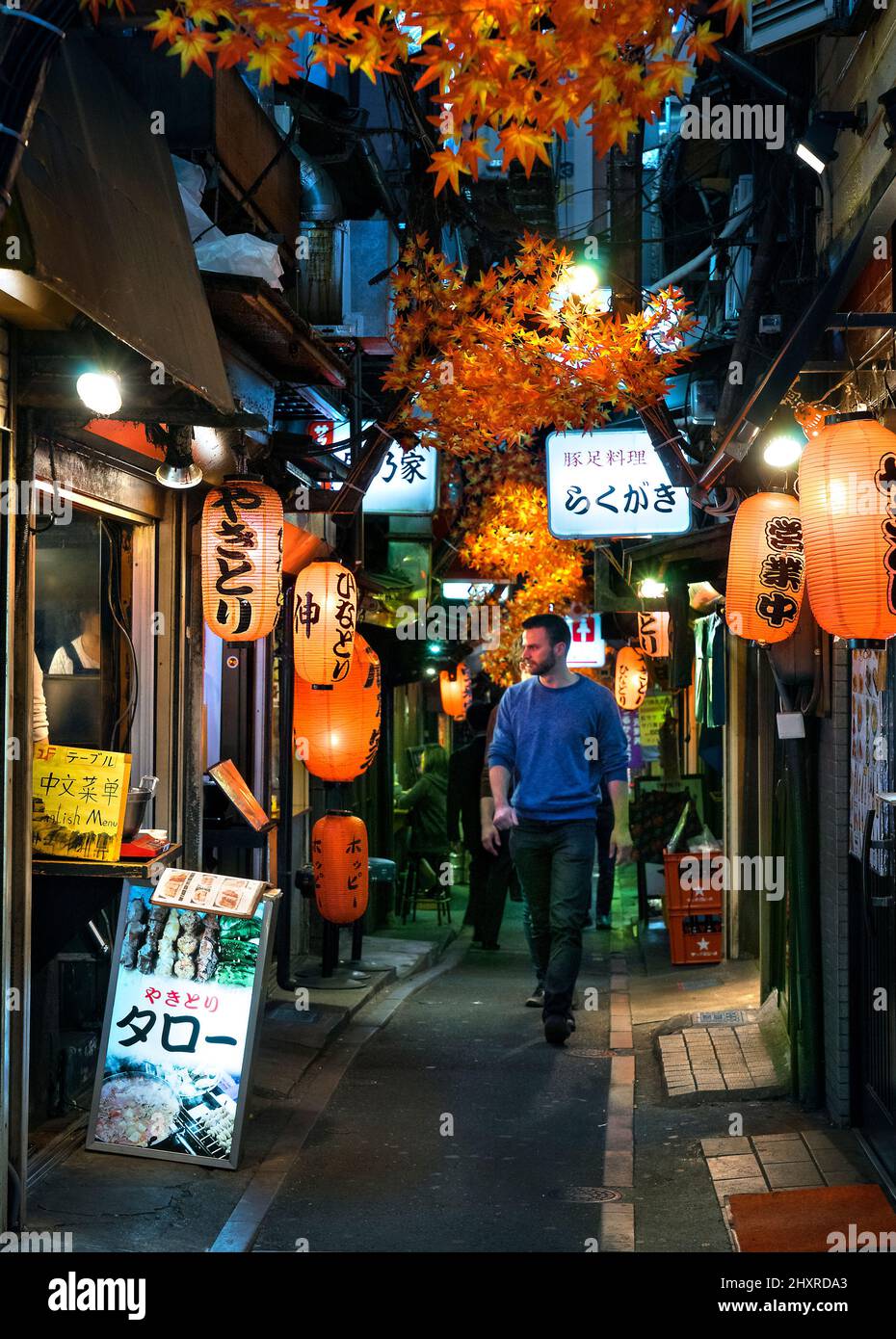 Giappone, Isola di Honshu, Kanto, Tokyo, piccoli vicoli di notte pieni di piccoli ristoranti. Foto Stock