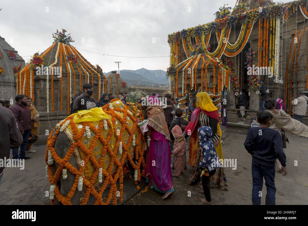 Il devoto sussurra i loro desideri nell'orecchio di Nandi, al tempio di Lord Shiva Foto Stock