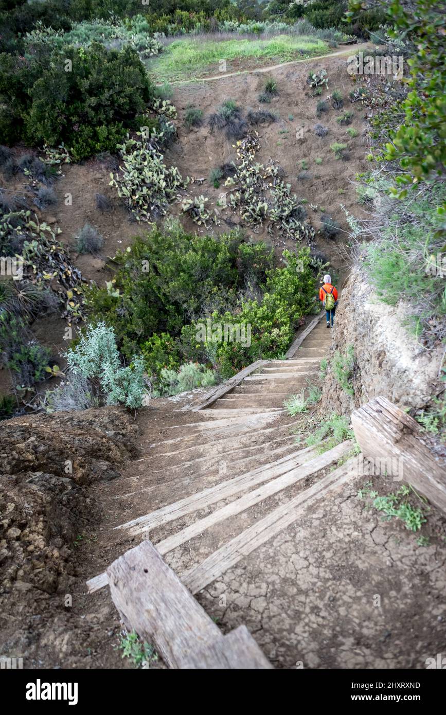 I gradini del Moonridge Trail scendono nel ripido canyon con cactus mentre un escursionista solista esplora il Conejo Open Space nel Wildwood Park, Thousand Oaks, California Foto Stock