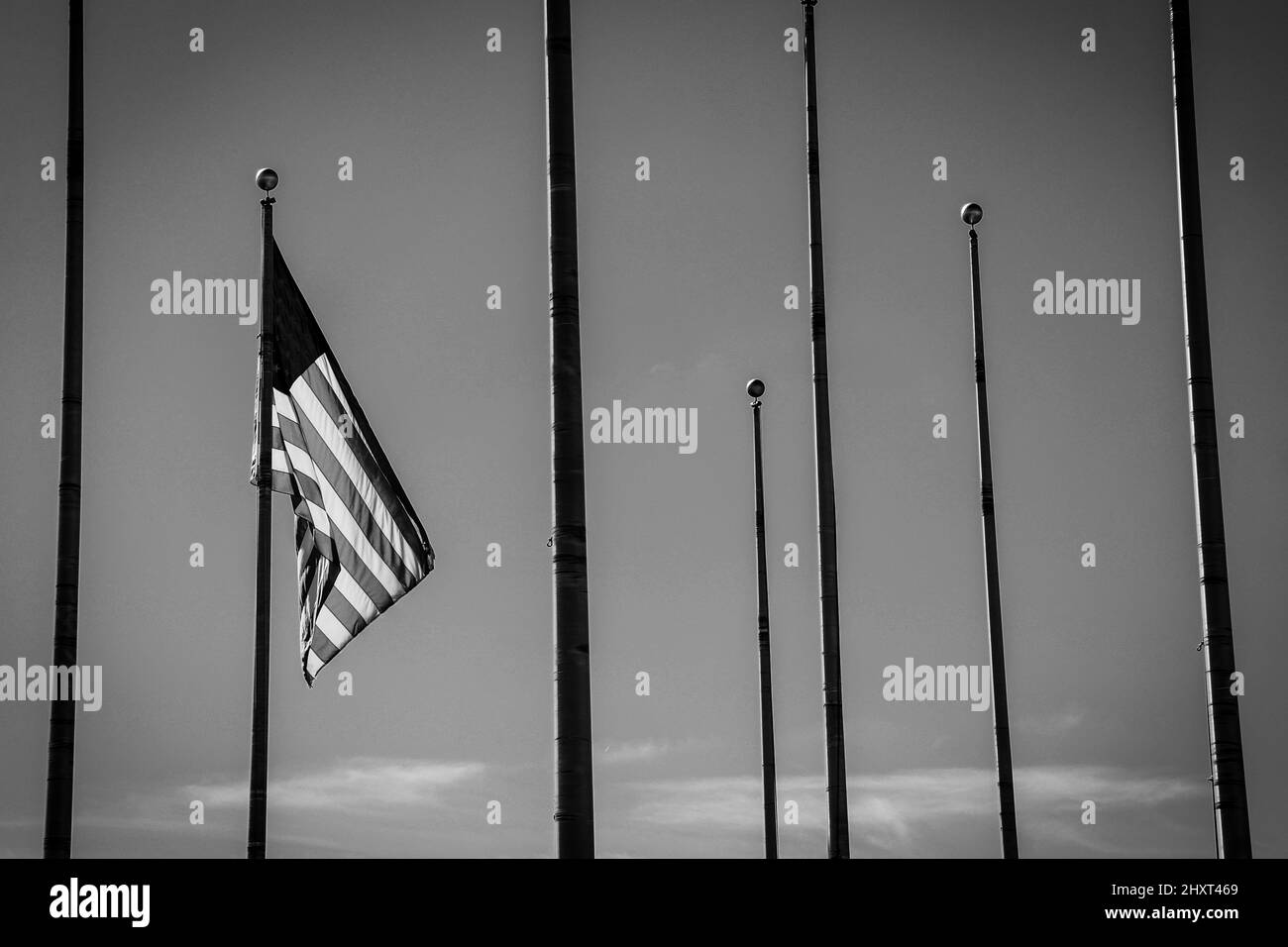 Scala di grigi ripresa di una bandiera americana su un palo circondato da pali vuoti Foto Stock