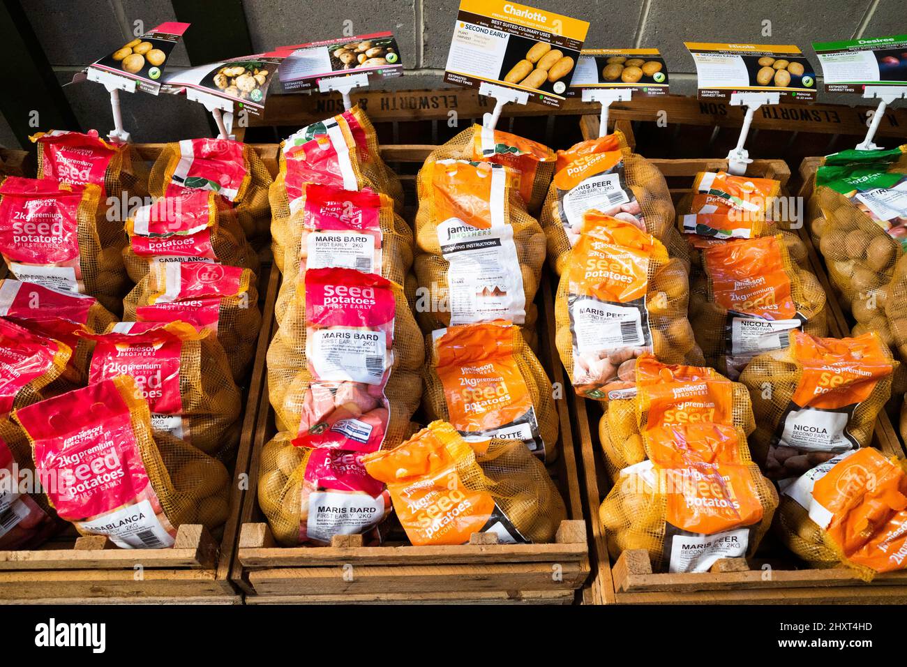 Esposizione di sacchi di diverse varietà di patate da semina per la vendita in un negozio di fattoria nel North Yorkshire per la piantagione primaverile Foto Stock